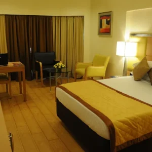 WhatsApp-Image-2025-03-15-at-4.13.49-PM-1